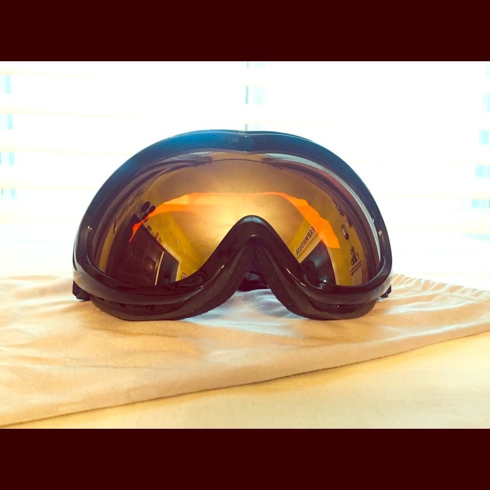 Gordini Ski Goggles